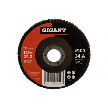 Лепестковый круг GIGANT G-11038